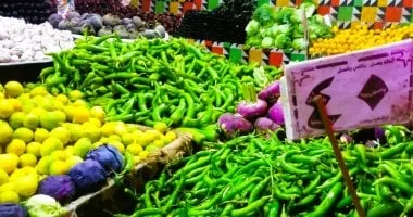 أسعار الخضراوات اليوم الخميس 8-5-2025 فى القليوبية.. الطماطم بـ 5 جنيهات
