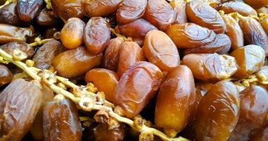 أسعار البلح السيوى بأسواق مطروح اليوم الأحد 4- 5-2025.. الواحاتى بـ50 جنيها