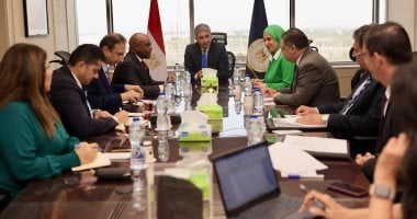 مصر تستضيف اجتماعات منظمة الدول الثمانى النامية للتعاون الاقتصادى D8