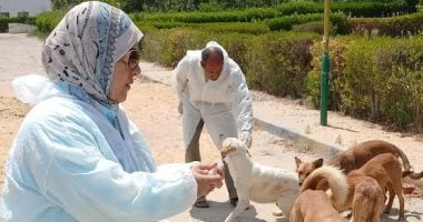 الطب البيطري بالإسماعيلية يحصن الكلاب الضالة ضد مرض السعار