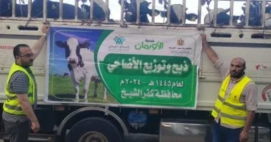 تخصيص 50 ألف كيلو لحوم أضاحي و75 عجلا بلديا لتوزيعها بكفر الشيخ