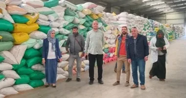 تموين كفر الشيخ: توريد 61950 طن قمح في 26 موقعا