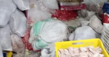 ضبط 12 طن مصنعات وأجزاء دواجن منتهية الصلاحية يتم إعادة تدويرها بمصنع بالخانكة