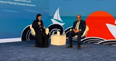 محيي الدين: تحقيق التوازن الاقتصادي والاستدامة يتطلب الاستثمار في رأس المال البشري