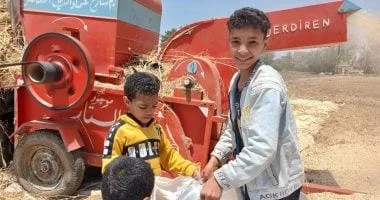 القمح يرسم البهجة على وجوه الأطفال أثناء مشاركة أهاليهم الحصاد.. فيديو صور