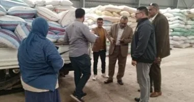 محافظ دمياط يتابع توريد القمح ويوجه بالتنسيق بين الأجهزة المعنية