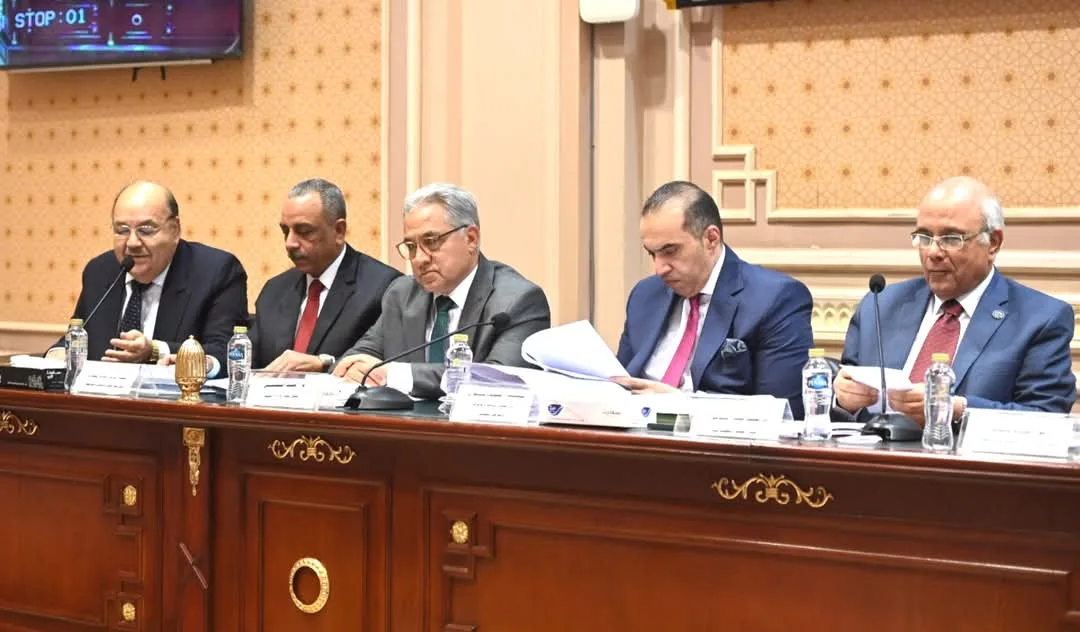 أستاذ قانون أمام "النواب": البرلمان له الحق في نظر المشكلات الأخرى المتعلقة بالإيجارات القديم
