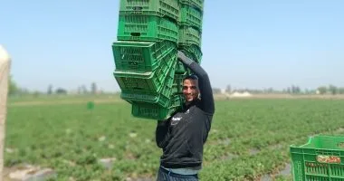عامل باليومية صباحا ولاعب طائرة مساء.. نجم الاتحاد يواجه الحياة بكفّين من العطاء