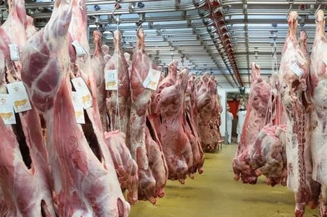 “المدثر للإنتاج الحيواني”: أسعار اللحوم في المجازر تبدأ من 225 جنيهًا وتصل حتى 400 جنيه للضأن.