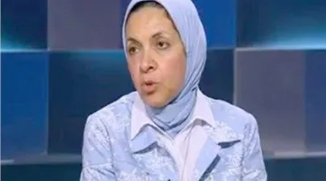 “الحماقي”: فائض أولي بنسبة 2.5% يعد خطوة إيجابية، لكنه غير كافٍ لإنعاش الاقتصاد