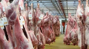 “البوصلة نيوز” تُلقى نظرة على أسعار الأضاحي في هايبر وان تحضيرًا لعيد الأضحى 2025