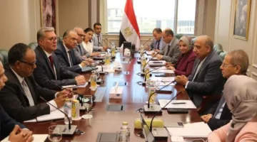 وزير الكهرباء ووزير البترول يتباحثان حول تأمين الوقود لضمان استقرار الطاقة الكهربائية في فصل الصيف.