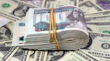 “خبير”: تراجع الدولار علامة إيجابية، ولكن يتطلب الاستمرار إصلاحات حقيقية.