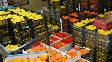 مدير “خدمة المصدرين”: ترميز المزارع يعزز صادرات مصر الزراعية إلى 7.5 مليون طن في 2024
