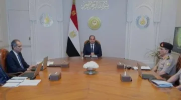 الرئيس السيسي يلتقي بوزير الاتصالات لمناقشة مبادرة “الرواد الرقميون”