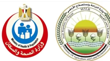 “الزراعة” و”الصحة” تنفيان شائعات حول إصابات فيروسية في الدواجن وتؤكدان على استقرار الوضع الراهن.