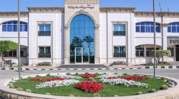 21 سفينة في ميناء دمياط.. واستمرار تدفق الشحنات والحاويات والماشية