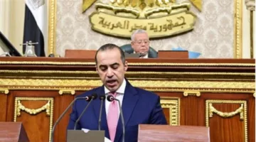 محمود فوزي: رقابة قضائية شاملة على الانتخابات.. والدولة ملتزمة بنزاهتها