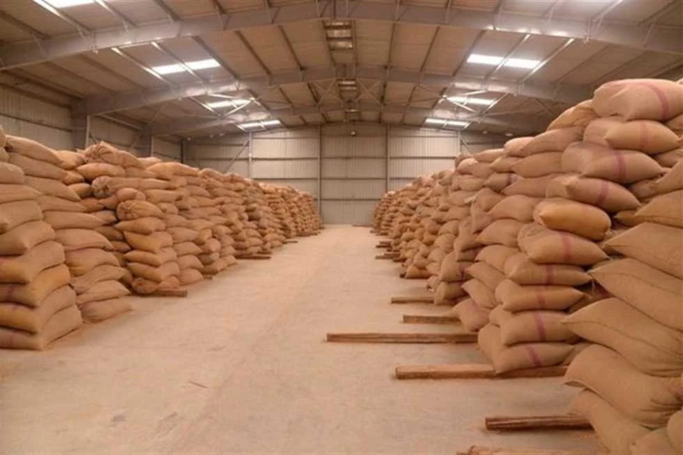 صوامع الشرقية تستقبل 499 ألف طن من القمح خلال موسم الحصاد صوامع الشرقية تستقبل 499 ألف طن من القمح خلال موسم الحصاد