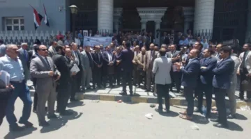 محامو الإسكندرية ينظمون مظاهرة احتجاجية ضد رفع الرسوم القضائية