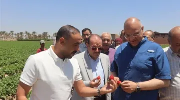 محافظ القليوبية يزور مزارع الفراولة في قرية ميت كنانة: الدولة تدعم المزارعين المصريين.