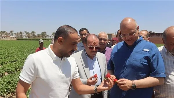 محافظ القليوبية يزور مزارع الفراولة في قرية ميت كنانة: الدولة تدعم المزارعين المصريين. محافظ القليوبية يزور مزارع الفراولة في قرية ميت كنانة: الدولة تدعم المزارعين المصريين.