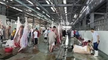 الطب البيطري في بورسعيد يُكوِّن لجنة لتفقد المجزر استعداداً لعيد الأضحى.