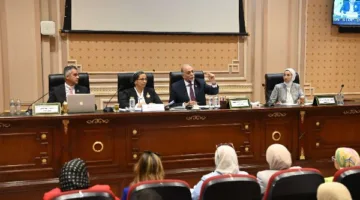 28 مليون جنيه لموازنة القومي لذوي الإعاقة في 2025/2026 .. تفاصيل