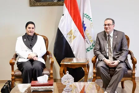 رئيسا التنظيم والإدارة والهيئة الوطنية للطفولة يناقشان تحسين الهيكل الإداري للمجلس