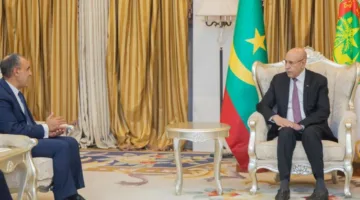 وزير الخارجية والهجرة يقدم رسالة خطية من الرئيس السيسي إلى وزير الخارجية الموريتاني