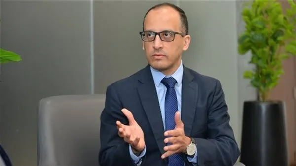 متحدث الحكومة: التخوفات من اتفاقية موانئ أبوظبي غير مبررة.. وهي المطور الصناعي الـ15