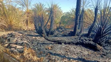 حريق ضخم ي devastates 6 حظائر للماشية في عزبة الطين بمنية النصر بالدقهلية