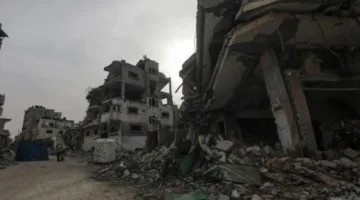 إخفاق محادثات وتيكوف للتوصل إلى هدنة في غزة