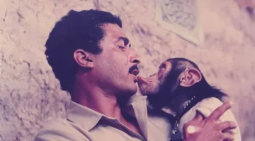 38 عاماً من التحديات في مهمة رسمية .. كواليس صراع أحمد زكي مع القردة ومطاردة الحيوانات