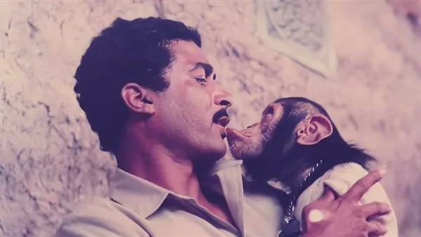 38 عاماً من التحديات في مهمة رسمية .. كواليس صراع أحمد زكي مع القردة ومطاردة الحيوانات 38 عاماً من التحديات في مهمة رسمية .. كواليس صراع أحمد زكي مع القردة ومطاردة الحيوانات
