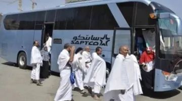 180 حافلة جديدة لنقل الحجاج المصريين و400 سائق بعد اجتياز اختبارات المخدرات والتدريب.