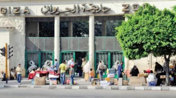 ثلاثة بنوك تقدم قرضاً بقيمة 2.3 مليار جنيه لشركة حدائق لتطوير حديقتي الحيوان والأورمان