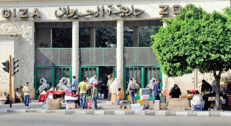 ثلاثة بنوك تقدم قرضاً بقيمة 2.3 مليار جنيه لشركة حدائق لتطوير حديقتي الحيوان والأورمان ثلاثة بنوك تقدم قرضاً بقيمة 2.3 مليار جنيه لشركة حدائق لتطوير حديقتي الحيوان والأورمان
