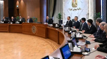 مدبولي: رفع الحوافز لتصنيع السيارات محلياً يعتمد على زيادة نسبة المحتوى المحلي