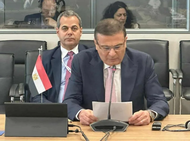 وزير الزراعة يناقش الاستراتيجية المصرية للحفاظ على صحة النباتات وزير الزراعة يناقش الاستراتيجية المصرية للحفاظ على صحة النباتات