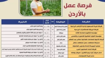 45 فرصة عمل للمصريين في الأردن عبر مجالات متنوعة | التخصصات وموعد تقديم الطلبات النهائي