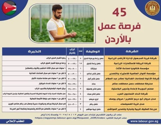 45 فرصة عمل للمصريين في الأردن عبر مجالات متنوعة | التخصصات وموعد تقديم الطلبات النهائي