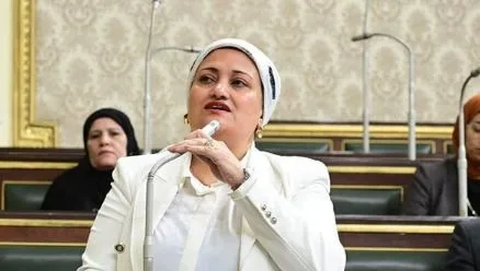 الإيجار القديم.. النائبة سناء السعيد تطالب بتشكيل لجان بالمحافظات لدراسة أوضاع المستأجرين