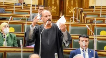 النائب مجدي ملك: نقص في عدد الصيادلة بالمنيا.. وفتحي قنديل يطالب الوزير بزيادة غرف العناية المركزة في نجع حمادي