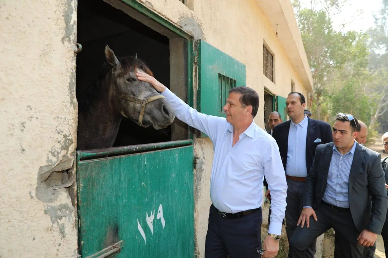 وزير الزراعة: تطوير محطة الزهراء لتكون مركزا عالميا لتربية الخيول العربية الأصيلة