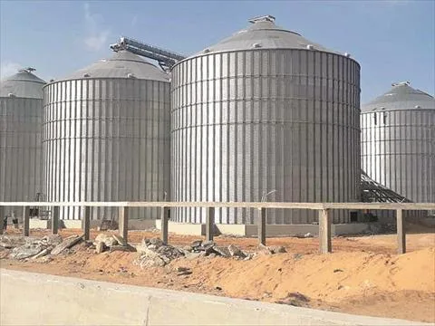 احتياطي القمح في صوامع القطاع العام بميناء دمياط يقترب من 35 ألف طن احتياطي القمح في صوامع القطاع العام بميناء دمياط يقترب من 35 ألف طن