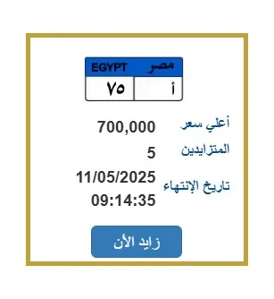 5 أشخاص يتنافسون على لوحة سيارة مميزة بـ 700 ألف جنيه