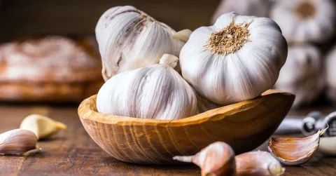 5 أطعمة رائعة لتجديد الخلايا ومكافحة علامات الشيخوخة.. أبرزها الثوم 5 أطعمة رائعة لتجديد الخلايا ومكافحة علامات الشيخوخة.. أبرزها الثوم