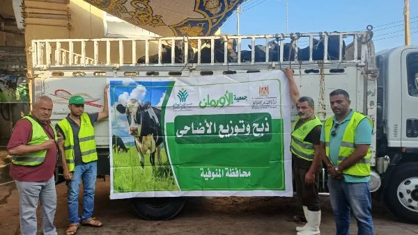 50 ألف كيلو لحوم أضاحي و80 عجل بلدى للأسر الاولى بالرعاية بالمنوفية