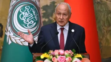 أحمد أبو الغيط: فلسطين تحت هجوم وحشي.. ودول عربية تواجه مخاطر تهدد وجودها